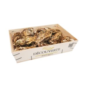1Kg Ostras Découverte