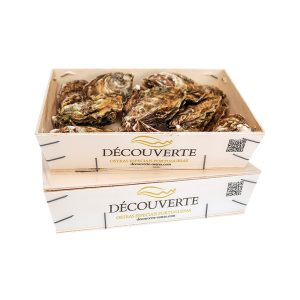 2Kg Ostras Découverte