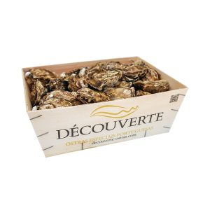 5Kg Ostras Découverte